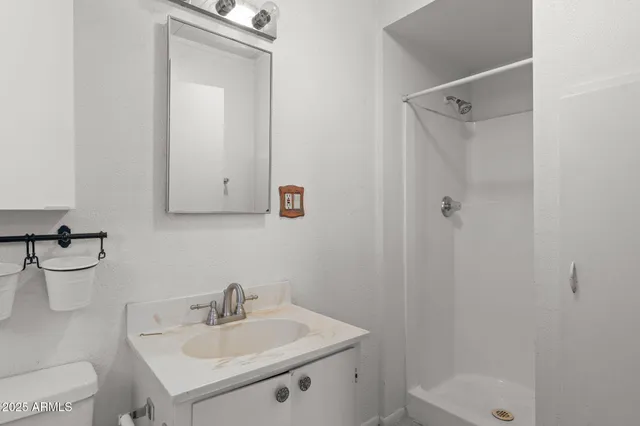 a bathroom with a sink a toilet and shower