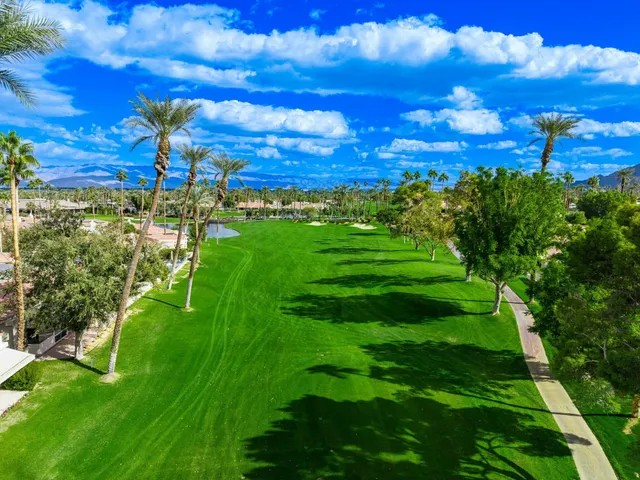 a view of a big yard