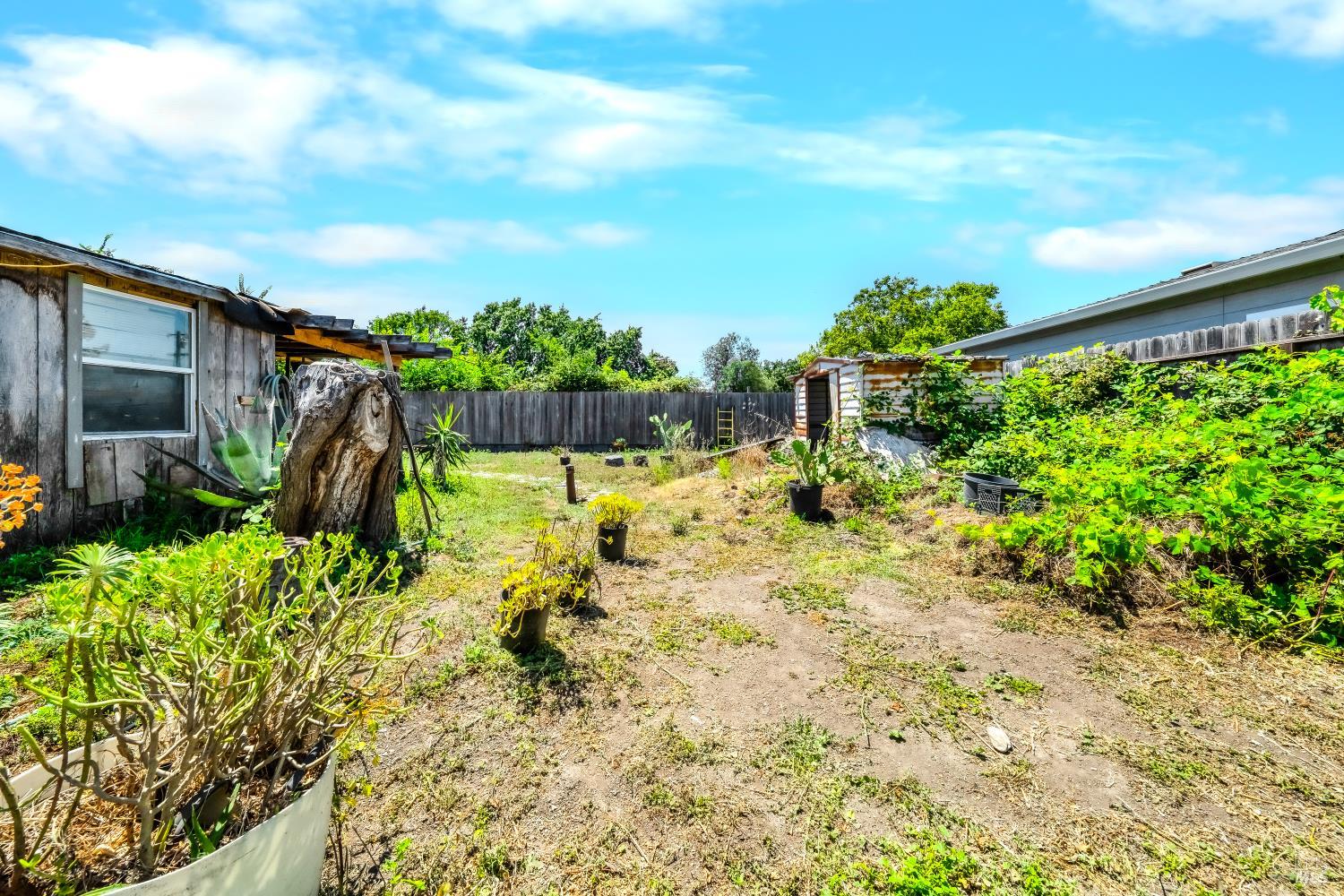 1129 Fresno Avenue Santa Rosa, CA 95407 - Photo 36 of 47 Back and side yard