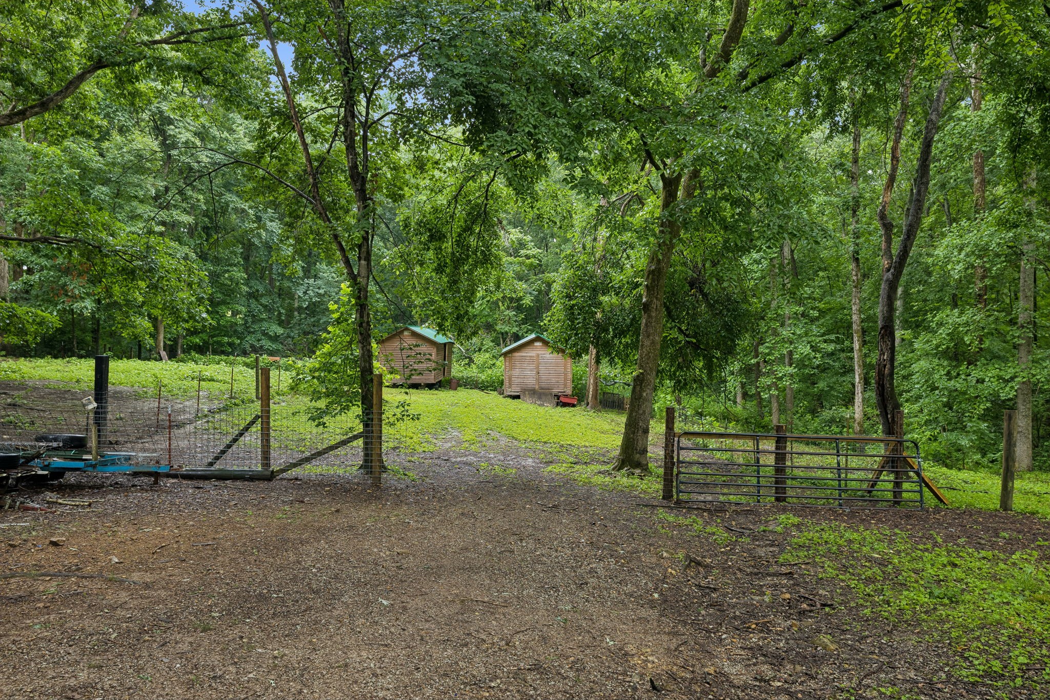 5849 Bending Chestnut Road Franklin, TN 37064 - Photo 28 of 34