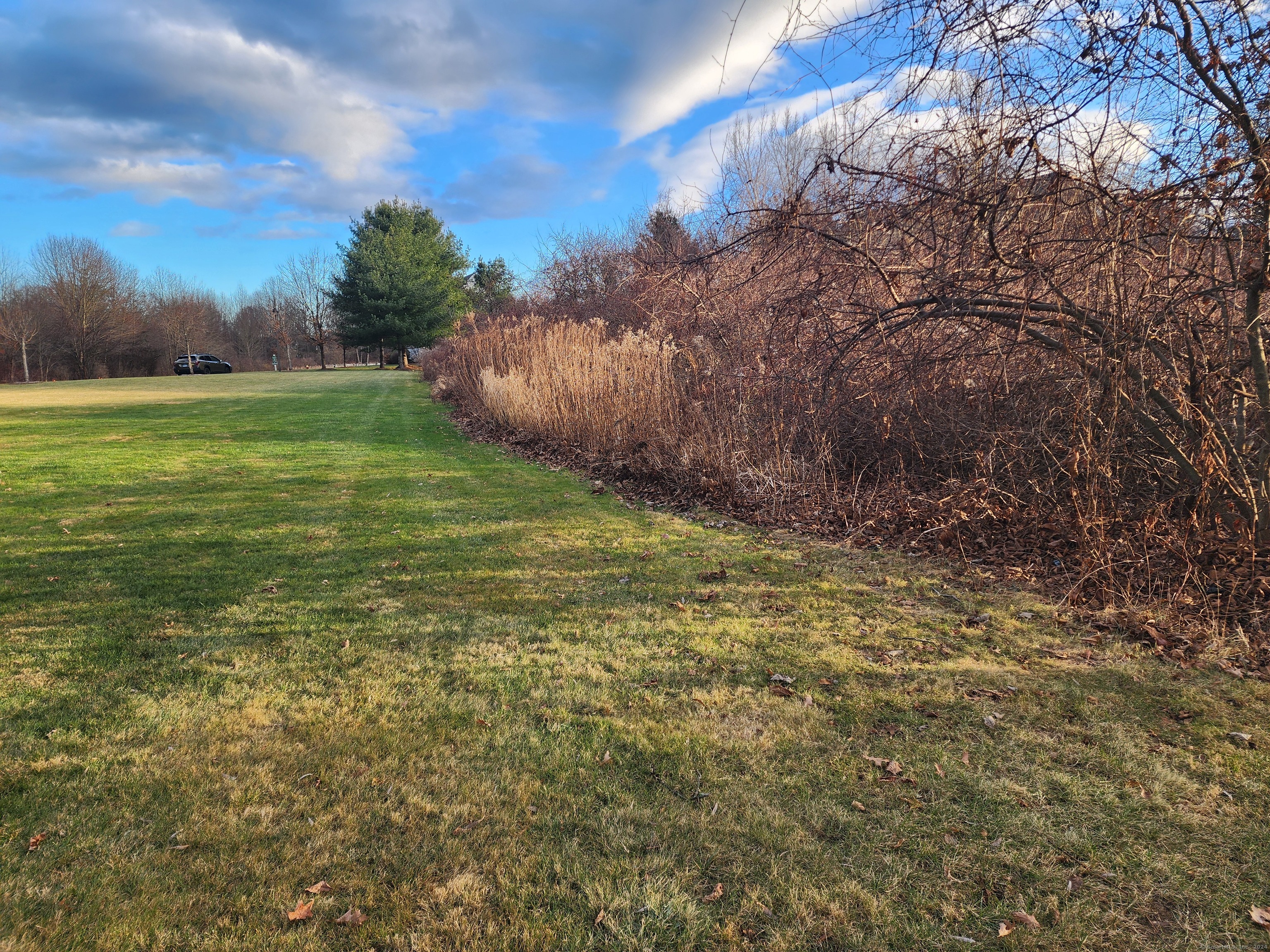 12 Filley Street Bloomfield, CT 06002 - Photo 2 of 3
