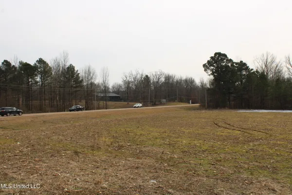 $600,000 | 3900 Old Highway 301, Lake Cormorant, MS 38641