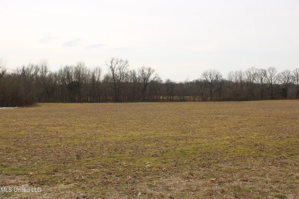 $600,000 | 3900 Old Highway 301, Lake Cormorant, MS 38641