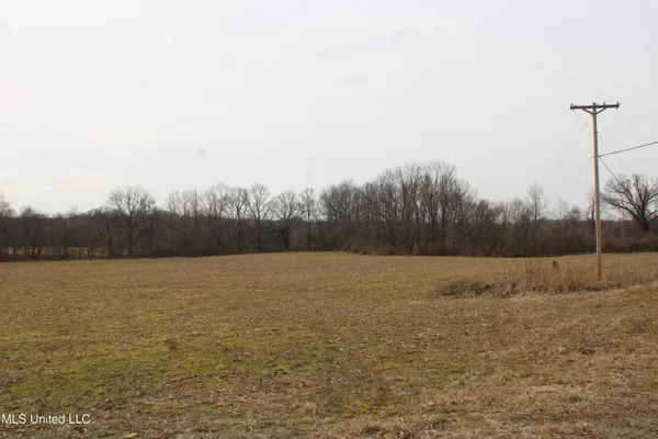 $600,000 | 3900 Old Highway 301, Lake Cormorant, MS 38641