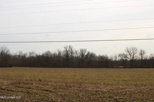 $600,000 | 3900 Old Highway 301, Lake Cormorant, MS 38641