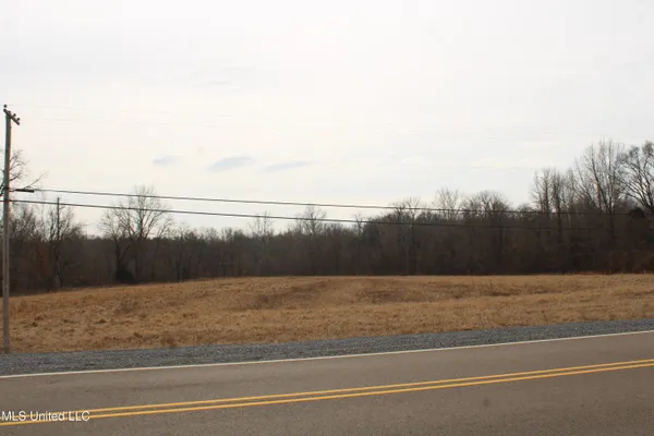 $600,000 | 3900 Old Highway 301, Lake Cormorant, MS 38641