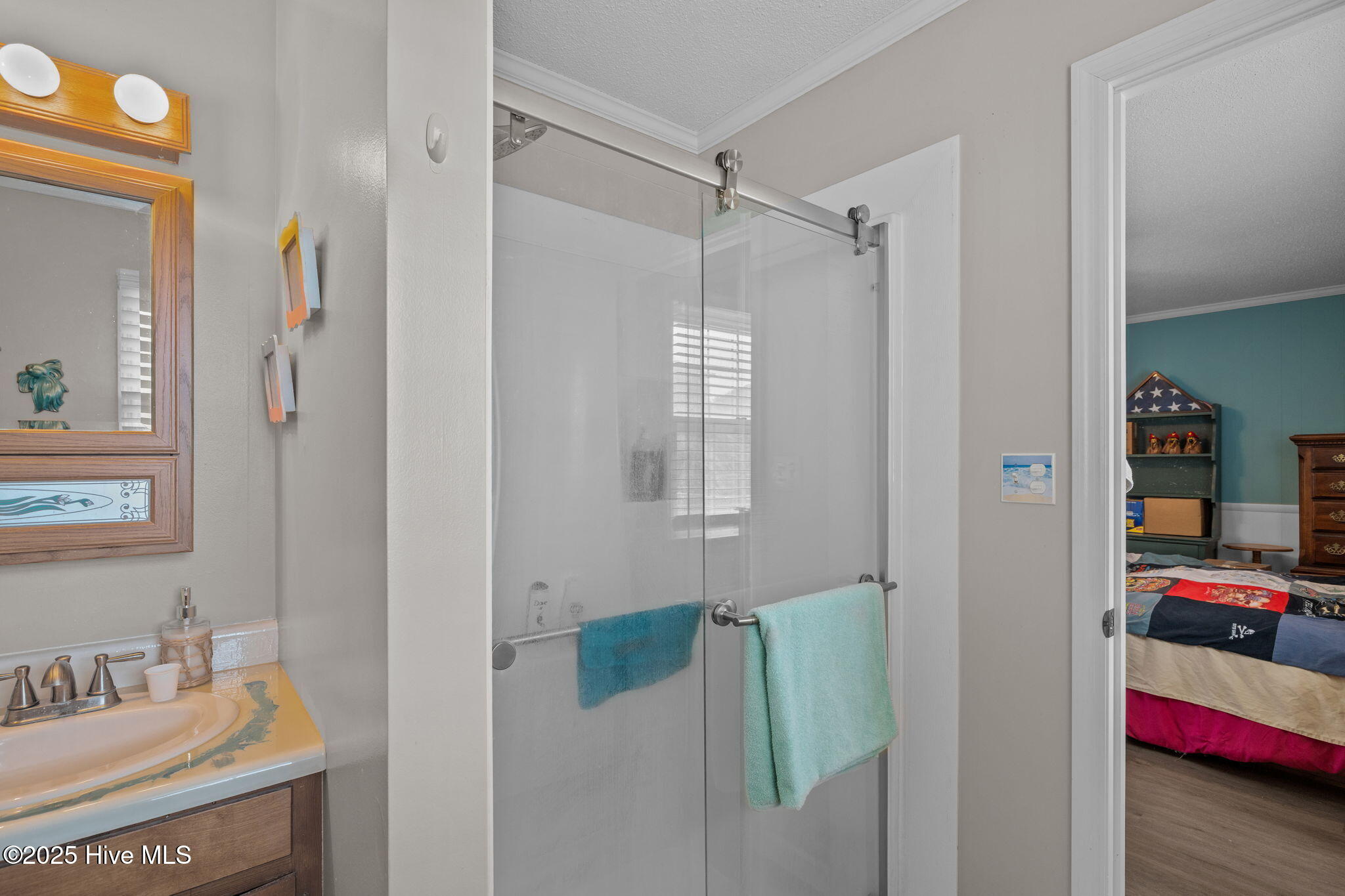 198 Mary Ella Road Harkers Island, NC 28531 - Photo 25 of 44 Primary bath has walk in shower