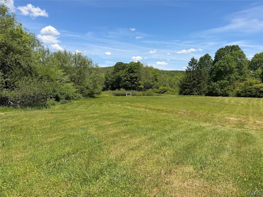 North Branch Road Friendship, NY 14739 - Photo 24 of 27