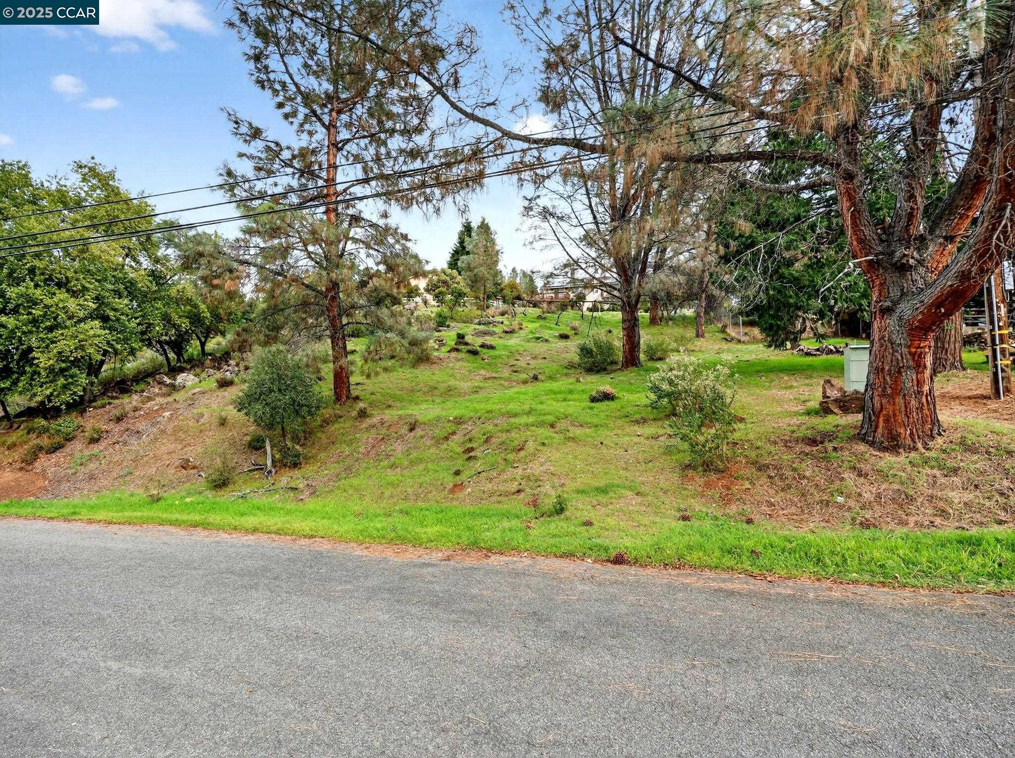9720 Sequoia Road Kelseyville, CA 95451 - Photo 14 of 15 a view of outdoor space and yard