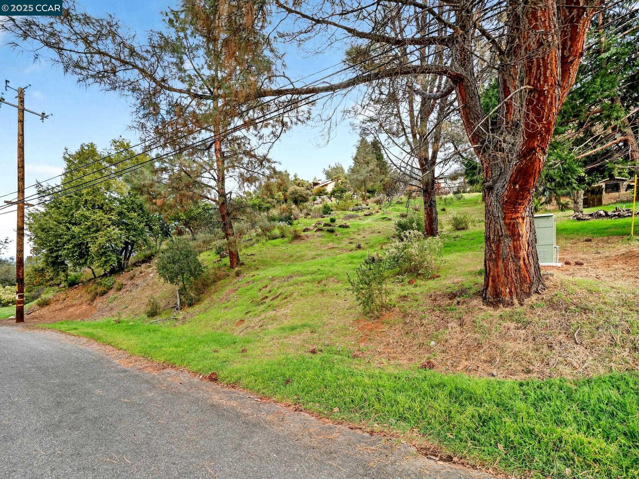9720 Sequoia Road Kelseyville, CA 95451 - Photo 15 of 15 a view of a yard with a tree