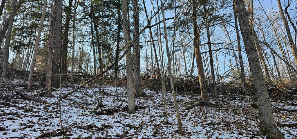 0 Jenkins Road Elmira, NY 14901 - Photo 12 of 25