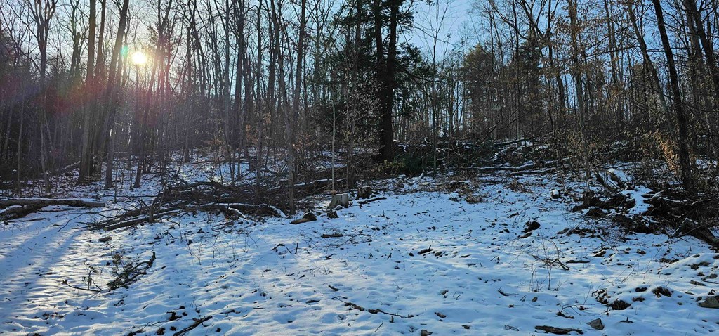0 Jenkins Road Elmira, NY 14901 - Photo 15 of 25