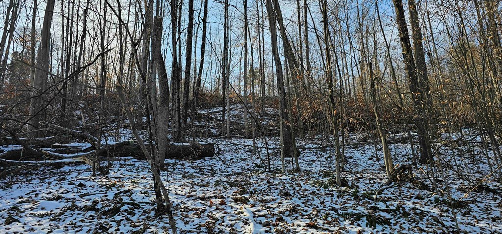 0 Jenkins Road Elmira, NY 14901 - Photo 16 of 25