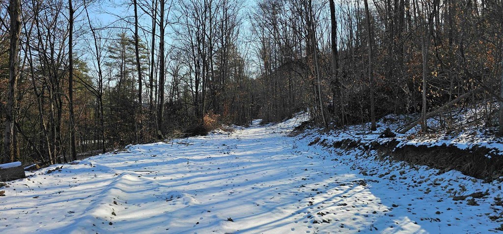 0 Jenkins Road Elmira, NY 14901 - Photo 2 of 25