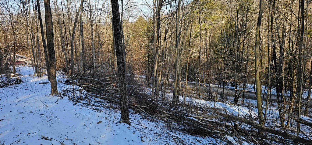0 Jenkins Road Elmira, NY 14901 - Photo 23 of 25