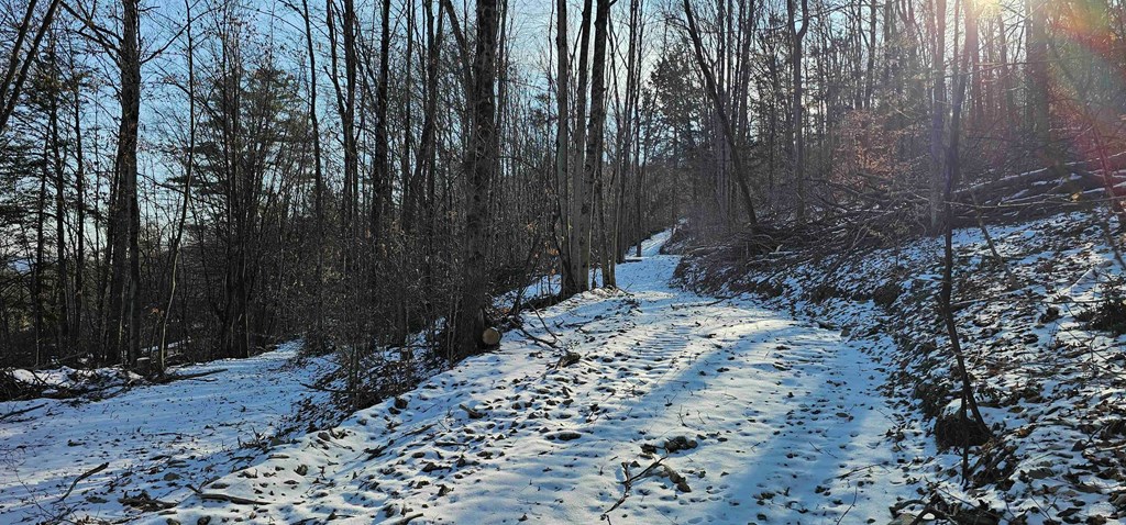 0 Jenkins Road Elmira, NY 14901 - Photo 3 of 25