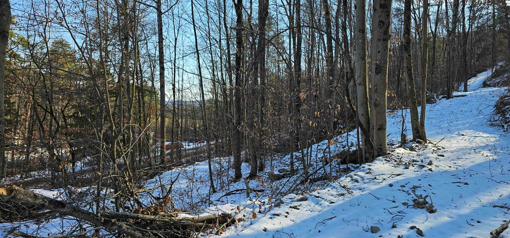 0 Jenkins Road Elmira, NY 14901 - Photo 6 of 25