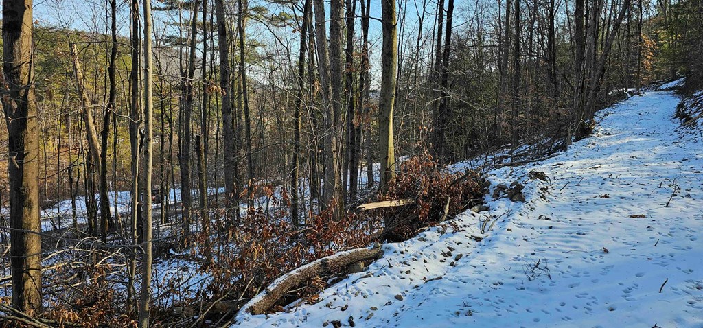 0 Jenkins Road Elmira, NY 14901 - Photo 7 of 25