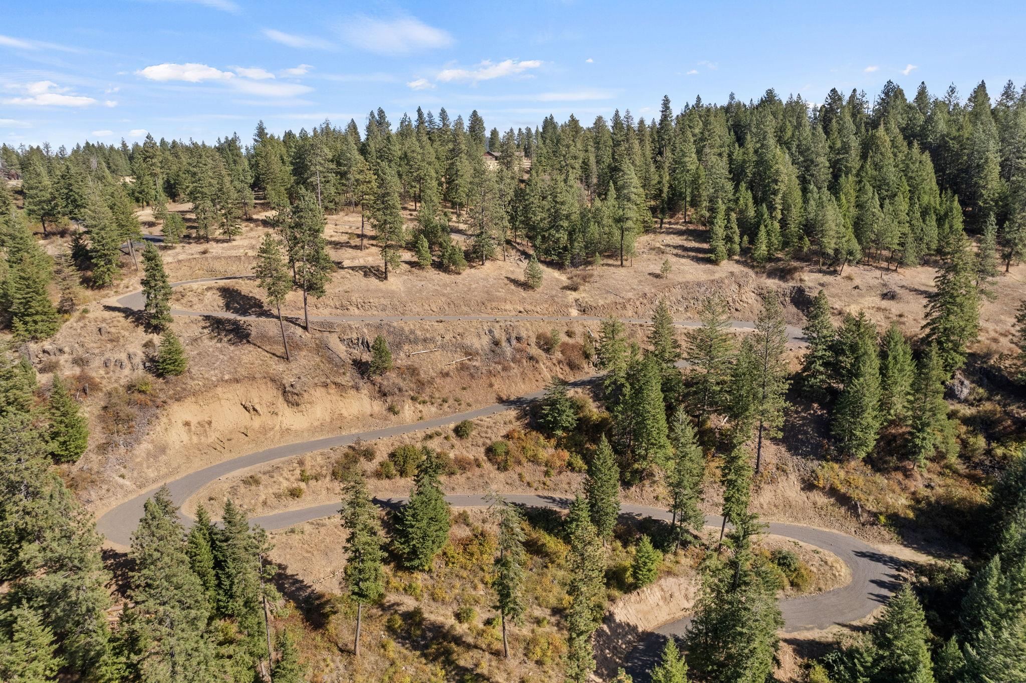 Undisclosed Address Harrison, ID 83833 - Photo 43 of 50