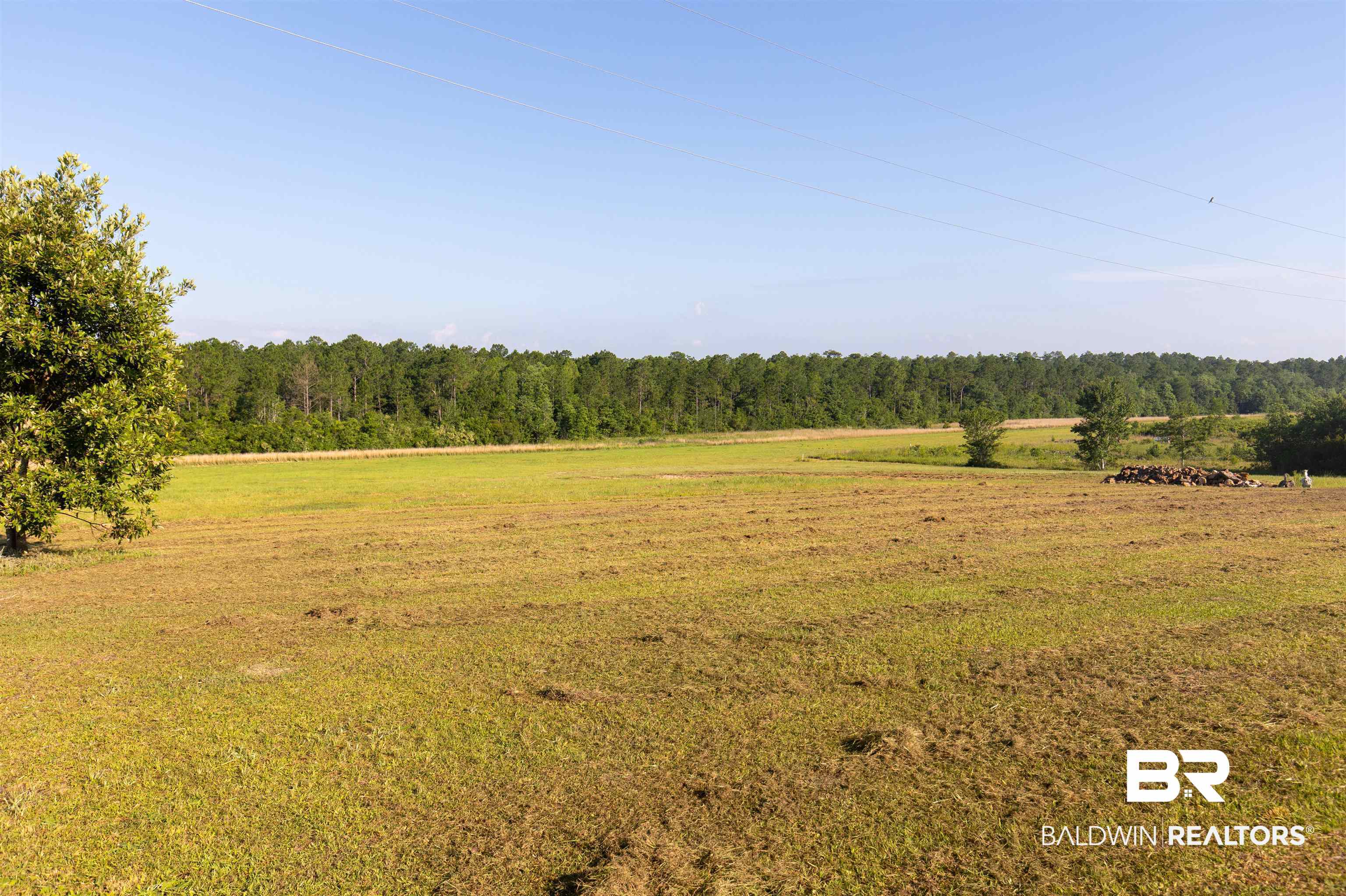 19755 Vaughn Road Seminole, AL 36574 - Photo 8 of 45