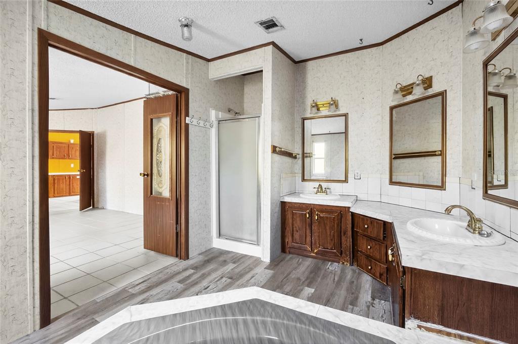 4661 Shepherd Road Lakeland, FL 33811 - Photo 22 of 33 a spacious bathroom with a sink a vanity and a mirror