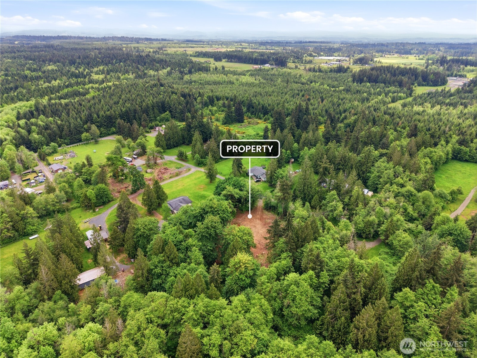 210 Vermillion Road Chehalis, WA 98532 - Photo 10 of 18 a view of a city with lush green forest