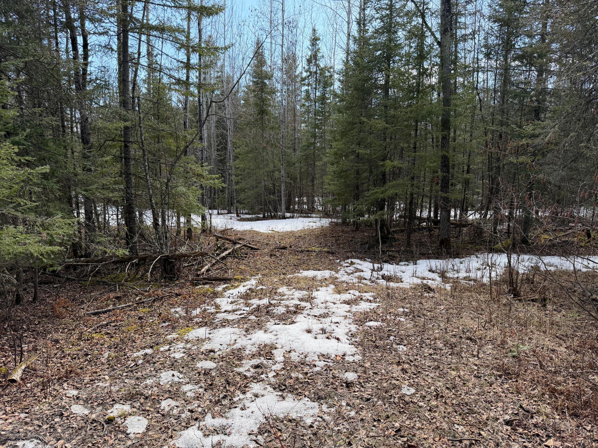 96-xx Gappa Road Kabetogama, MN 56669 - Photo 2 of 12