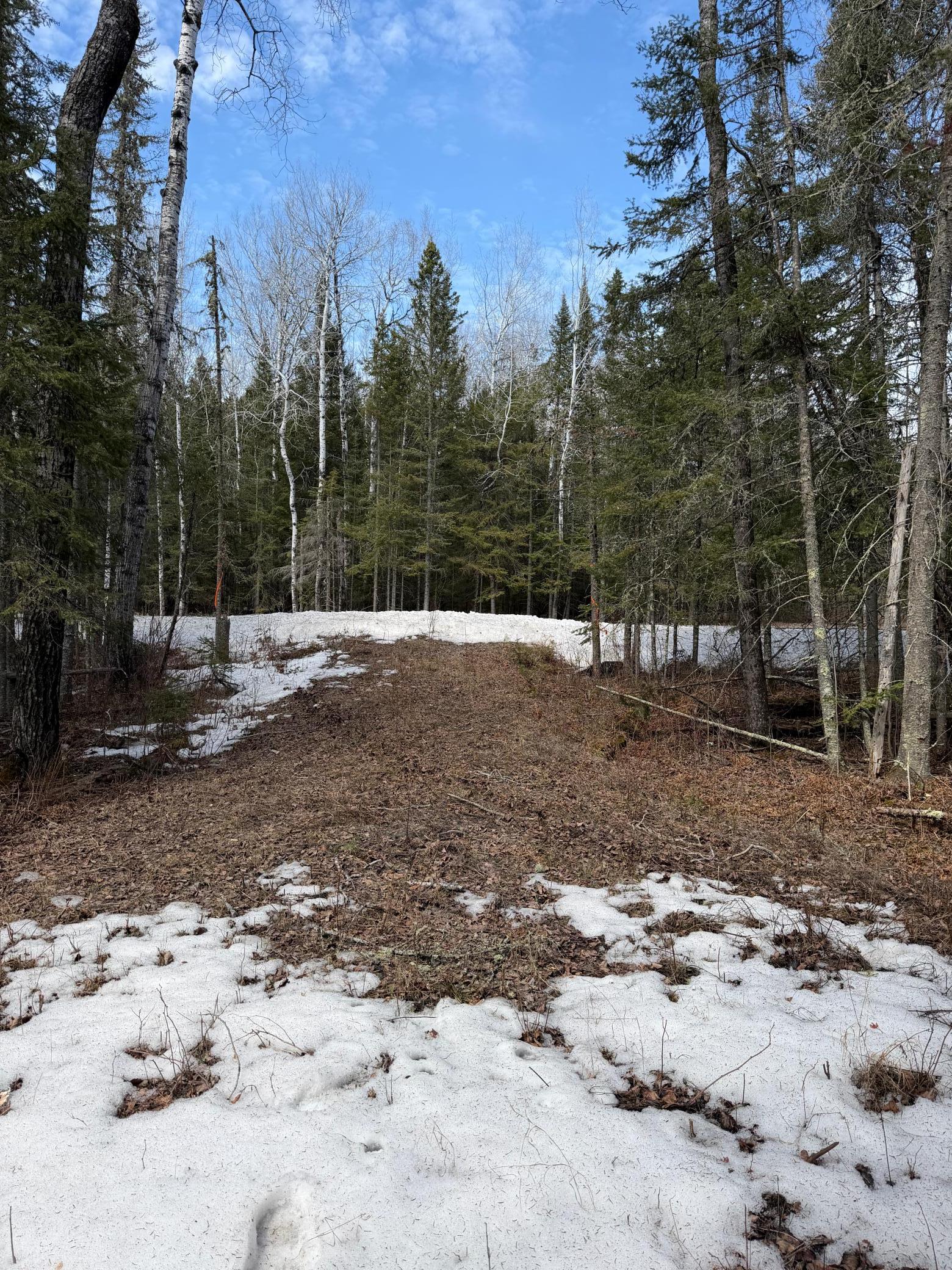 96-xx Gappa Road Kabetogama, MN 56669 - Photo 3 of 12