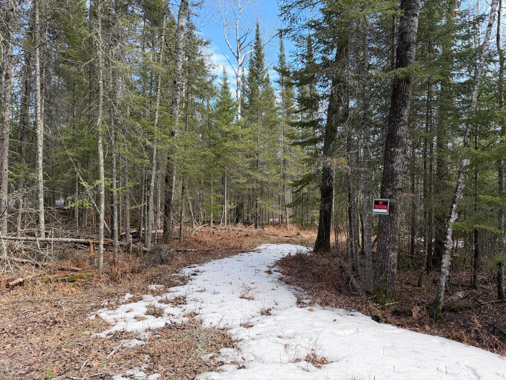 96-xx Gappa Road Kabetogama, MN 56669 - Photo 4 of 12