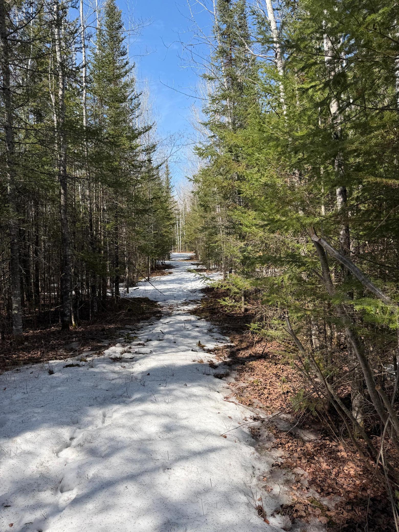 96-xx Gappa Road Kabetogama, MN 56669 - Photo 5 of 12
