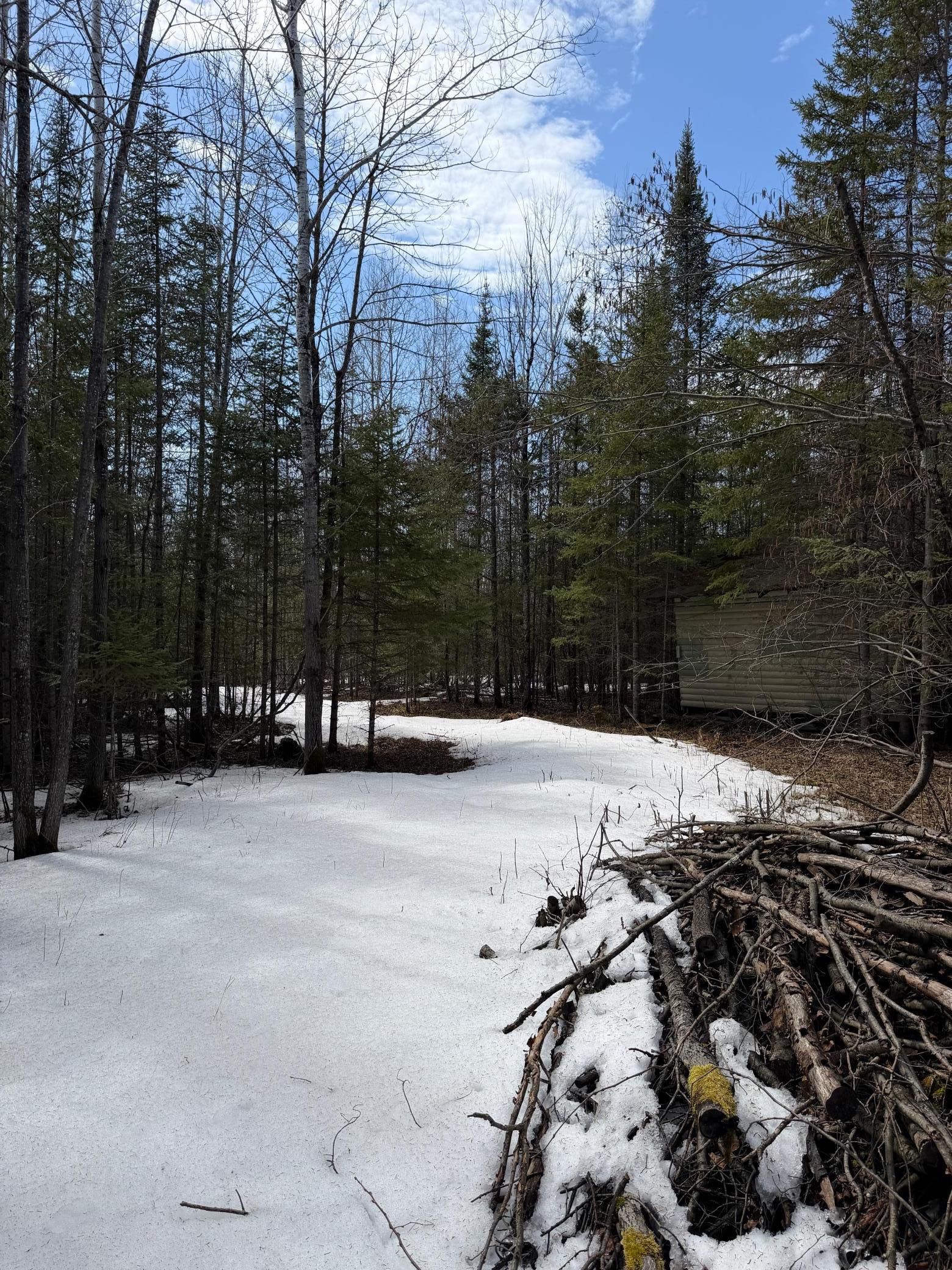 96-xx Gappa Road Kabetogama, MN 56669 - Photo 6 of 12