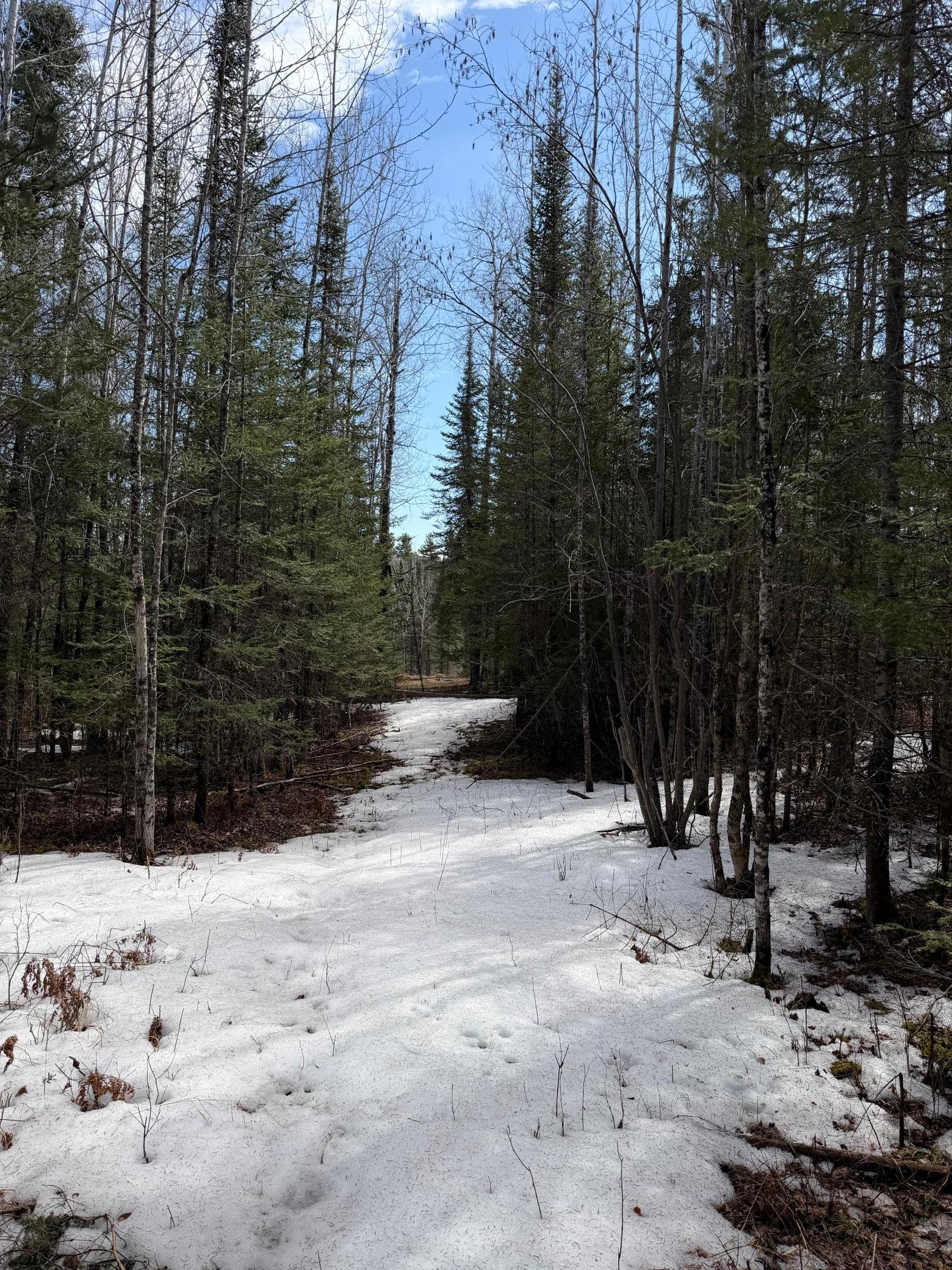 96-xx Gappa Road Kabetogama, MN 56669 - Photo 7 of 12