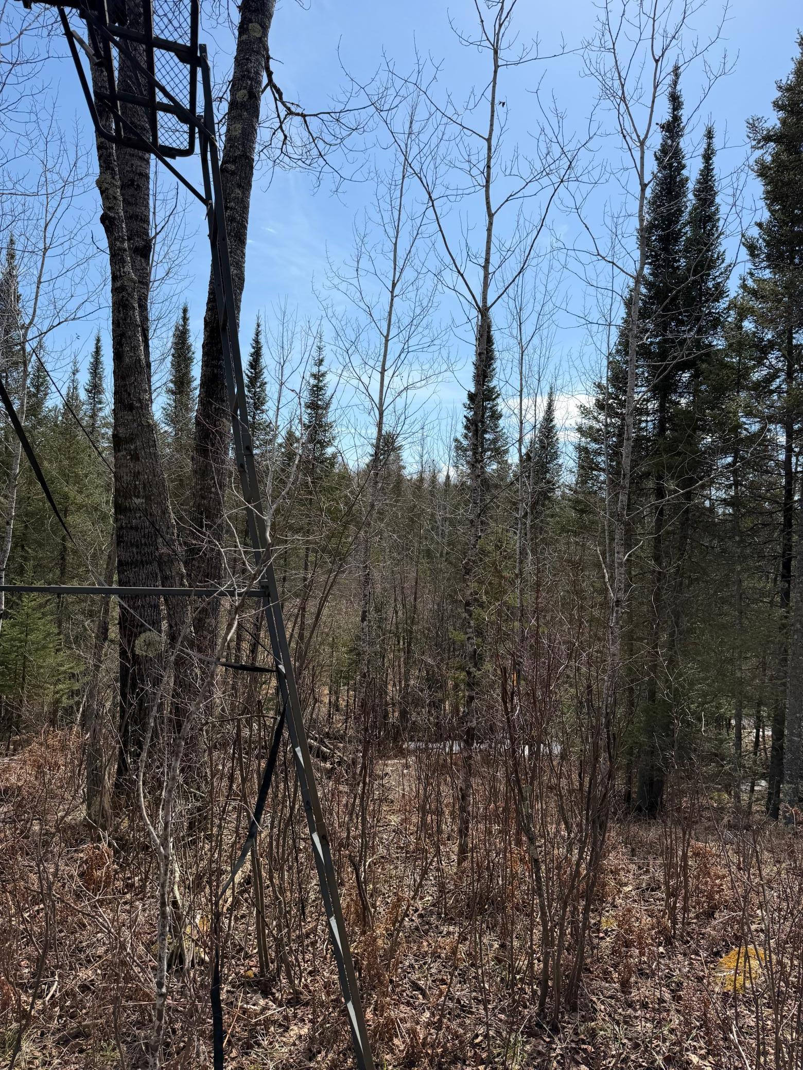 96-xx Gappa Road Kabetogama, MN 56669 - Photo 10 of 12