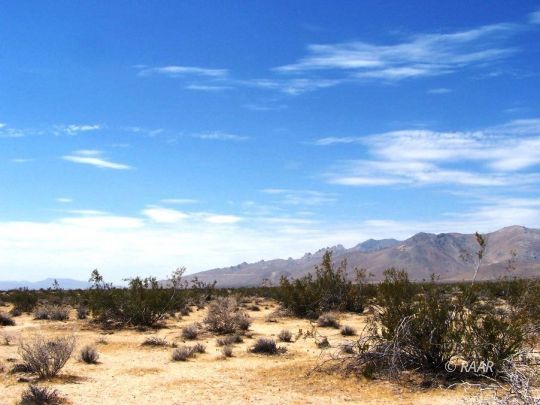 56-301-03 North Brown Road Inyokern, CA 93527 - Photo 9 of 9 Gallery Image 9