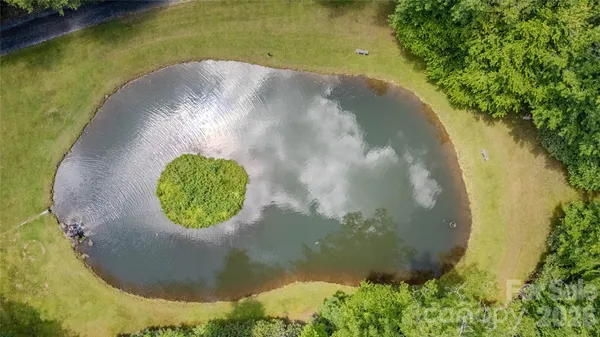 a view of a garden with plants
