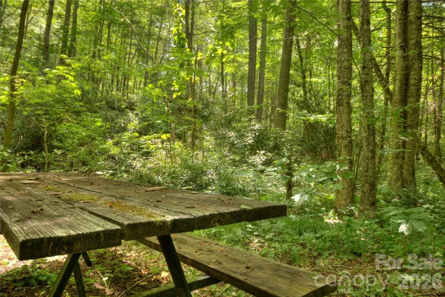 $30,000 | 0 Rainbow Trout Drive, Spruce Pine, NC 28777