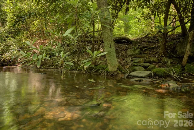 $30,000 | 0 Rainbow Trout Drive, Spruce Pine, NC 28777