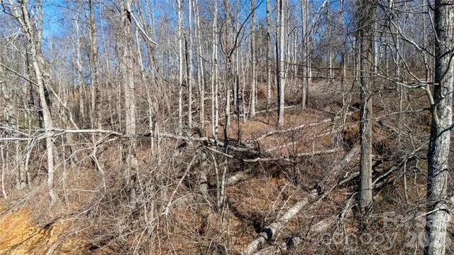 a view of a dry field