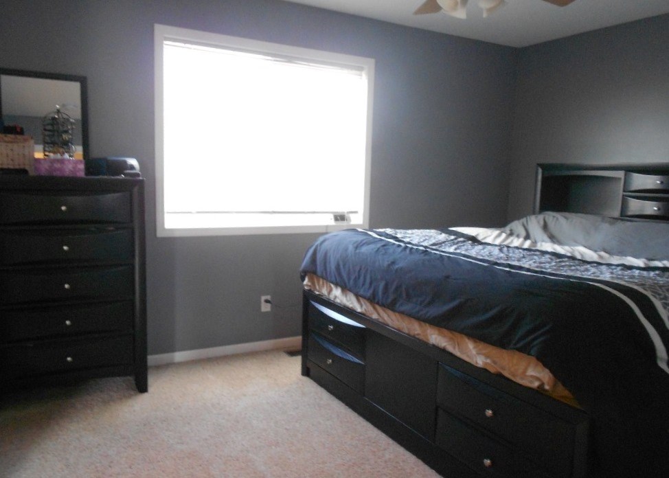 9907 North Begole Road St. Louis, MI 48880 - Photo 10 of 28 1858688-9.JPG