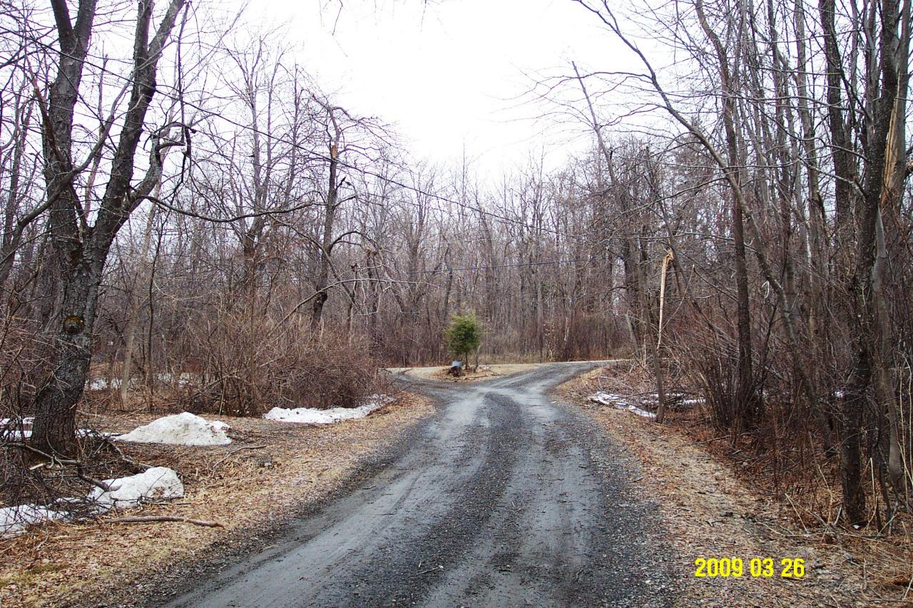 230 East Windsor Road Peru, MA 01235 - Photo 6 of 9 a view of a tree with snow on the side