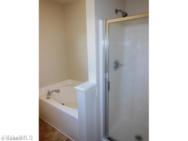 1069 Spruce Garden Drive Rural Hall, NC 27045 - Photo 9 of 16 Master Bath/Spa.