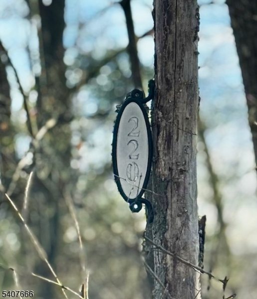 220 Brook Valley Road Montville, NJ 07082 - Photo 10 of 18