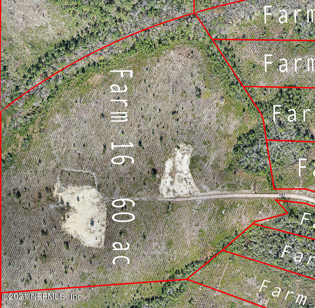 10 County Road 121 Bryceville, FL 32009 - Photo 6 of 8 cr121 small-6