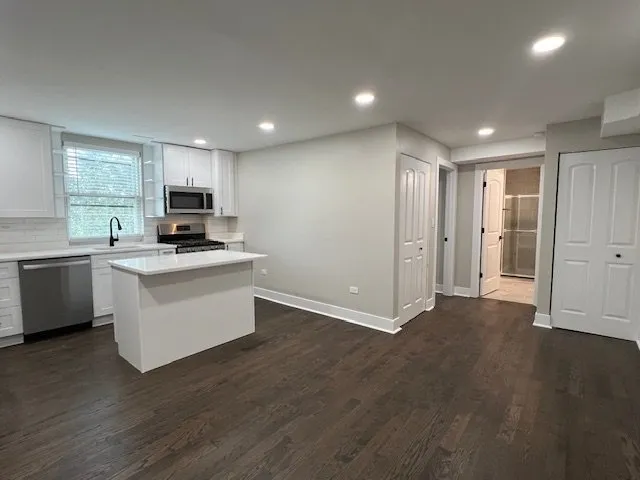 $1,595 | 1957 West 23rd Street, Unit 3R, Chicago, IL 60608