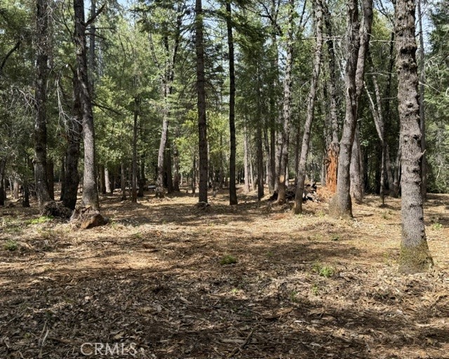 0 Platt Mountain Road Forest Ranch, CA 95942 - Photo 2 of 6 View from the back of the property towards the front of the property