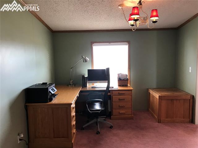 14820 Trigger Road Peyton, CO 80831 - Photo 19 of 36 Office, another view