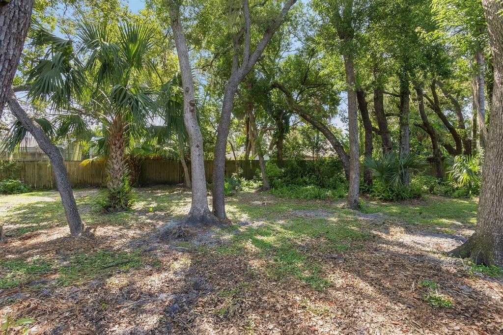 1029 Antelope Trail Winter Springs, FL 32708 - Photo 28 of 28 a view of a trees with a backyard