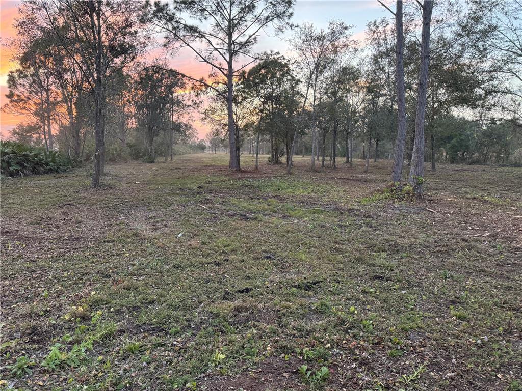 West Frostproof Road Frostproof, FL 33843 - Photo 1 of 5 a view of a yard with trees