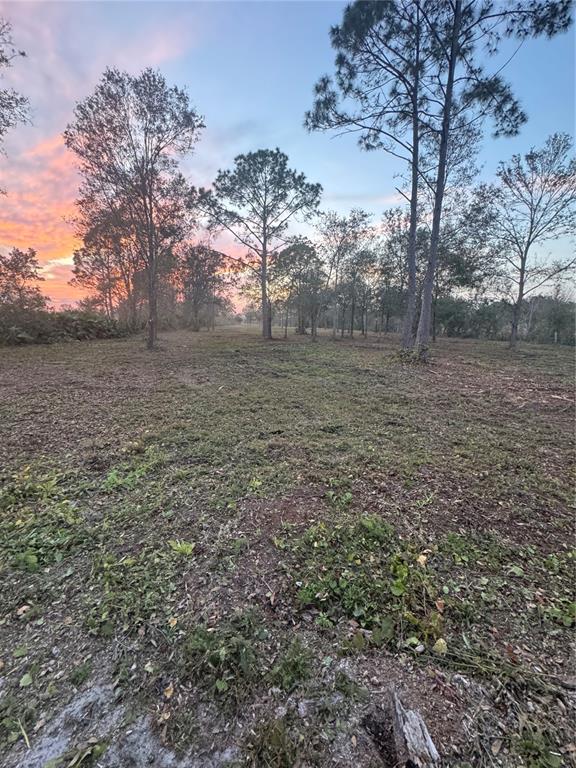 West Frostproof Road Frostproof, FL 33843 - Photo 5 of 5 a view of outdoor space and yard