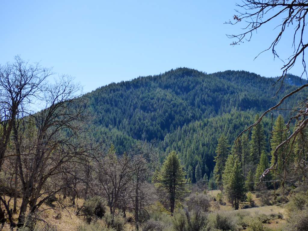 0 Greenhorn Road Yreka, CA 96097 - Photo 1 of 17 Gallery Image 1